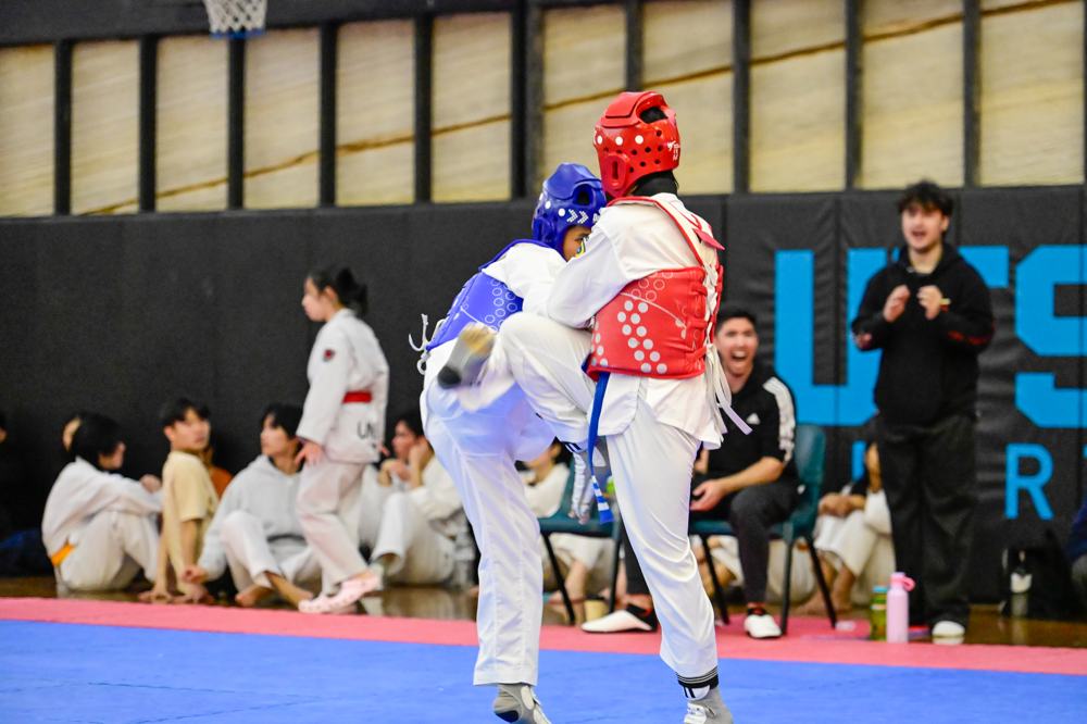 TDog Taekwondo competition G211