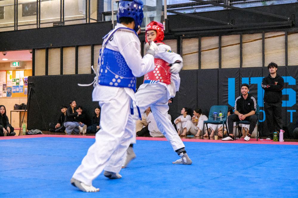 TDog Taekwondo competition G213
