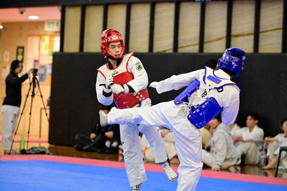 TDog Taekwondo competition G215