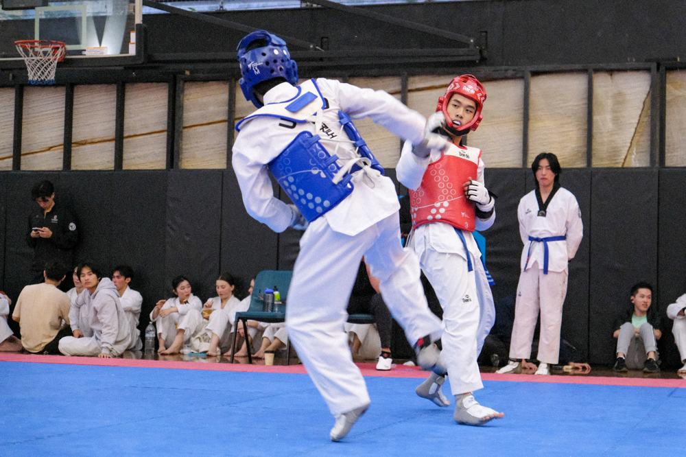 TDog Taekwondo competition G217