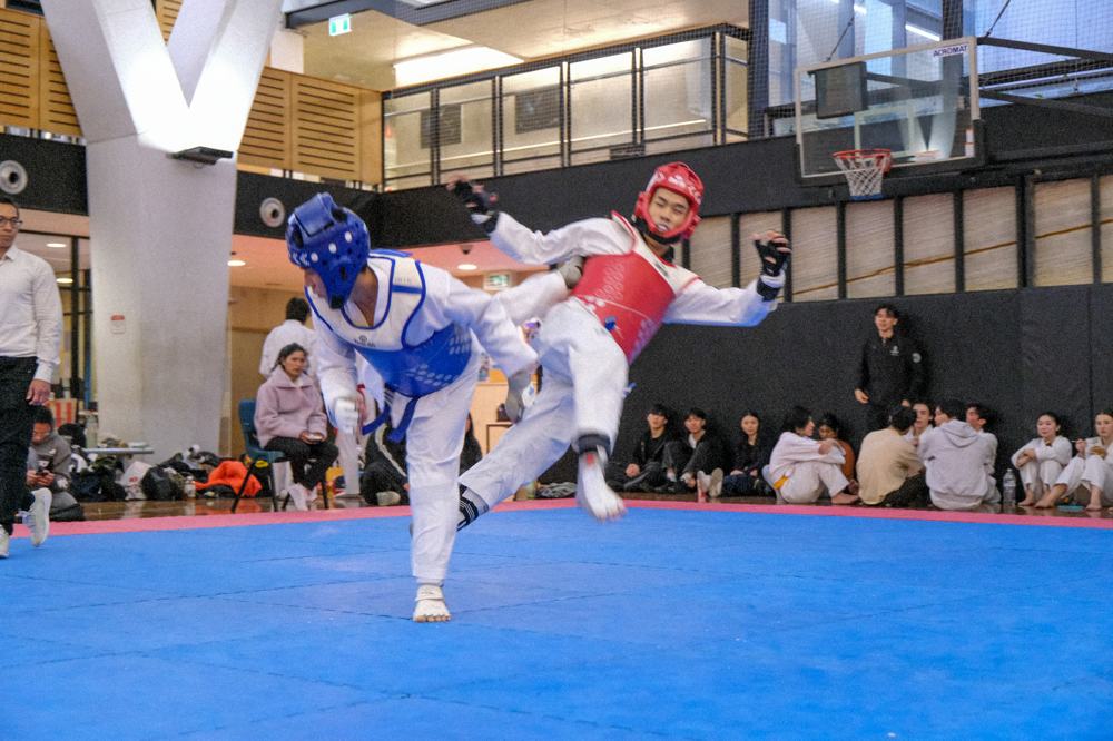 TDog Taekwondo competition G219
