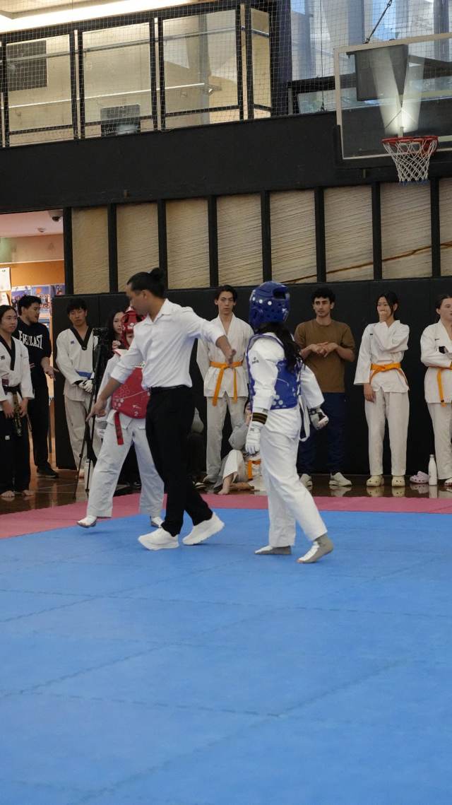 TDog Taekwondo competition G22