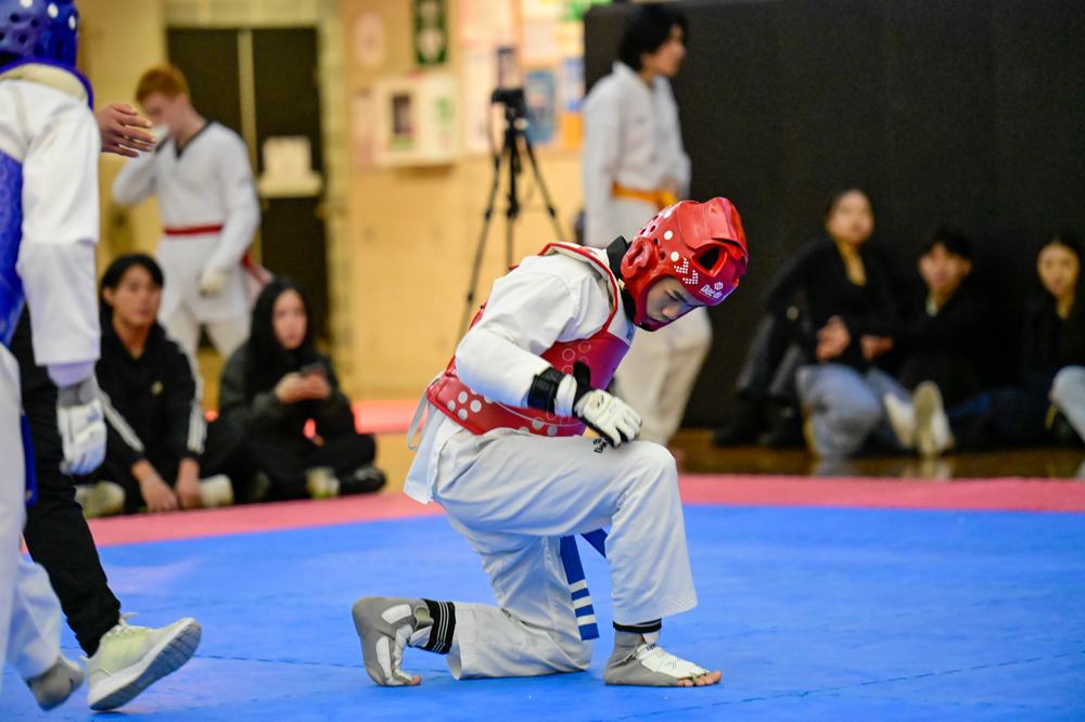 TDog Taekwondo competition G221