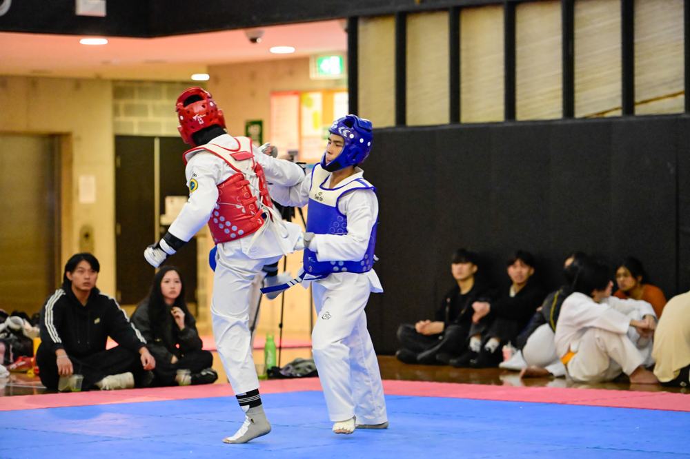 TDog Taekwondo competition G223
