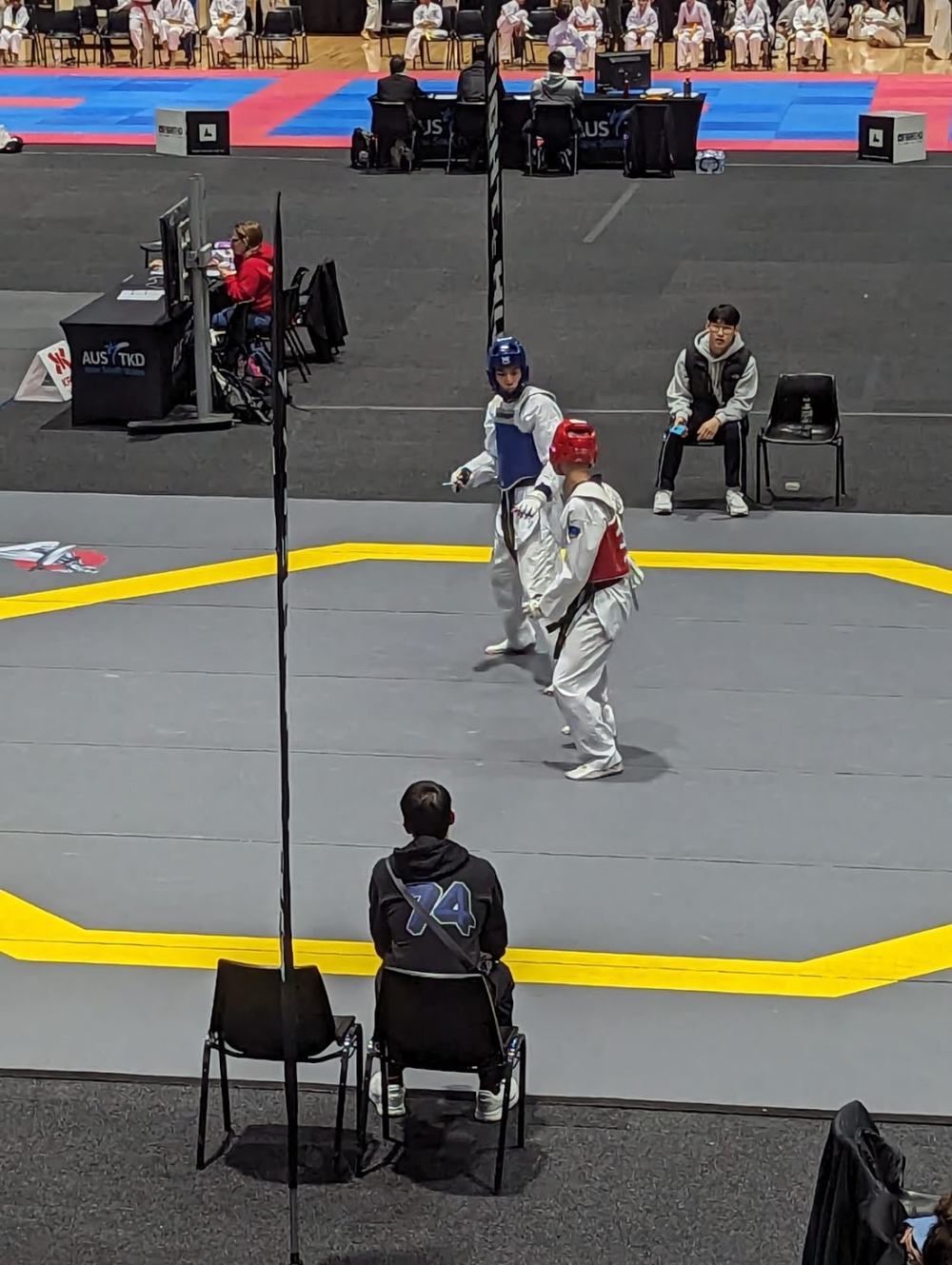 TDog Taekwondo competition G224