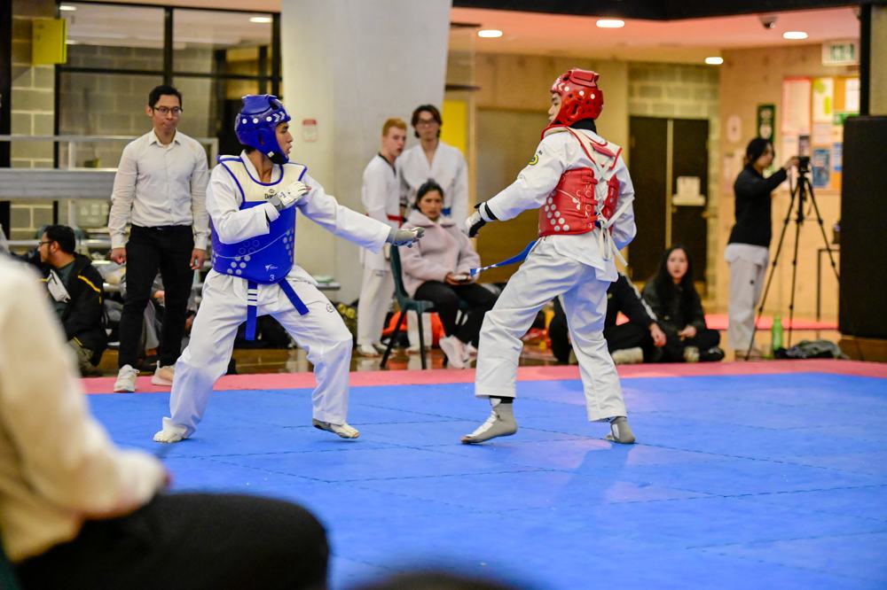 TDog Taekwondo competition G225