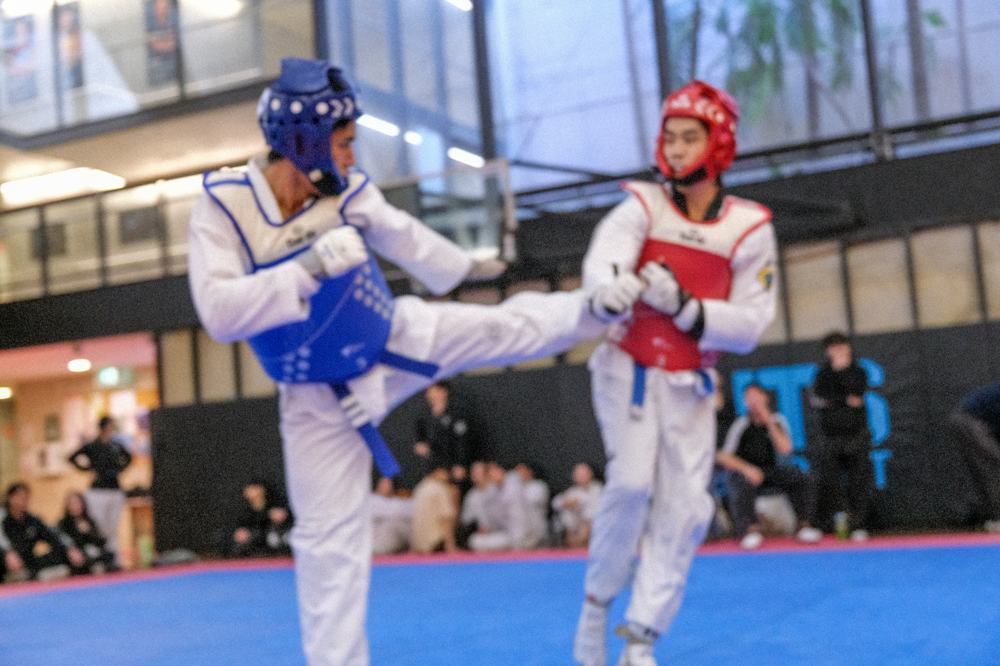 TDog Taekwondo competition G227