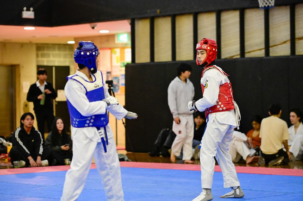 TDog Taekwondo competition G229