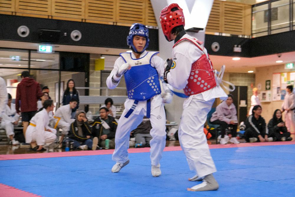 TDog Taekwondo competition G233