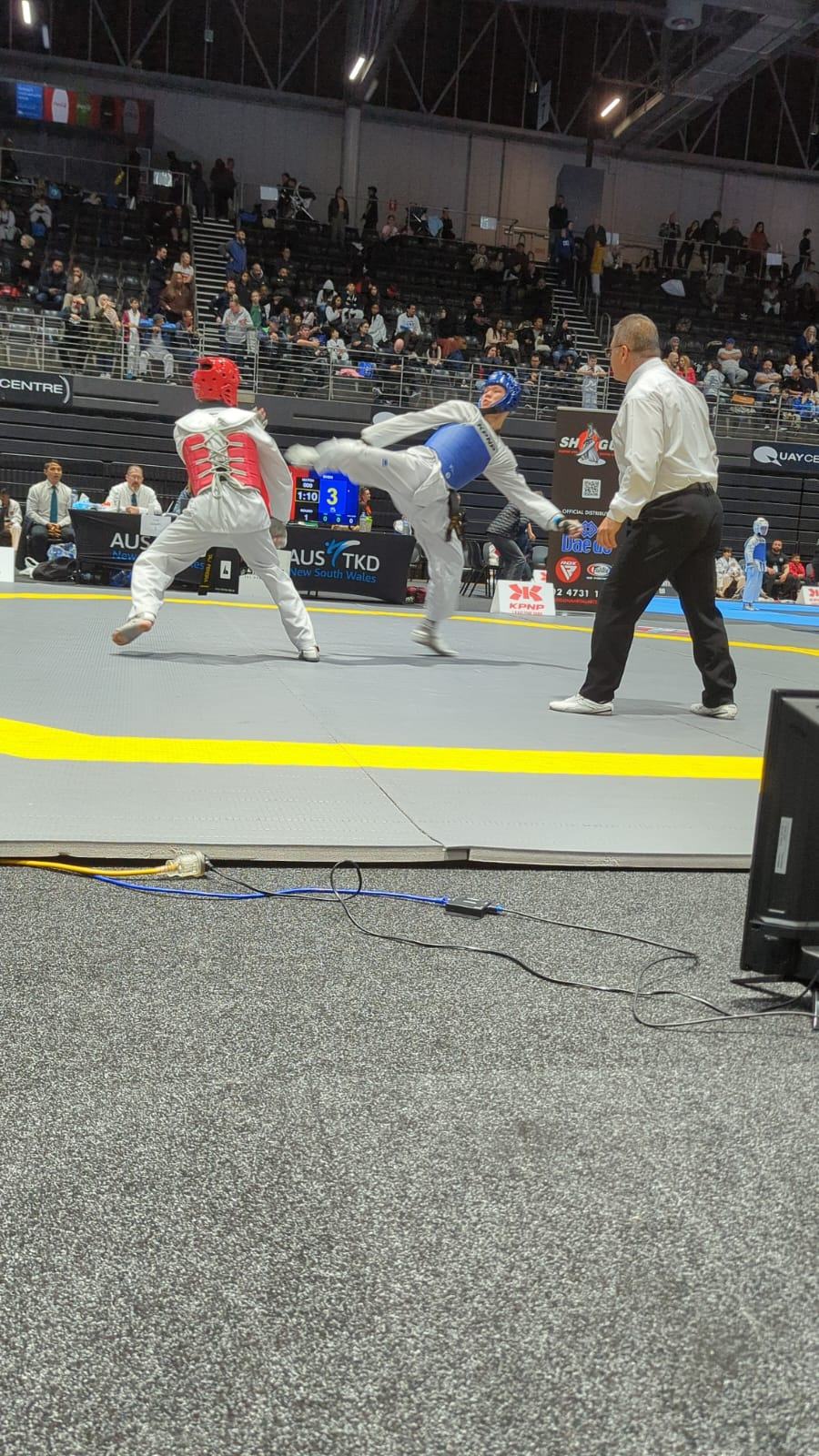 TDog Taekwondo competition G236