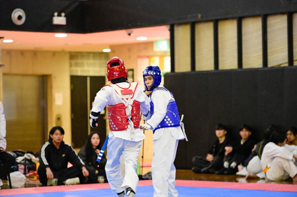 TDog Taekwondo competition G237