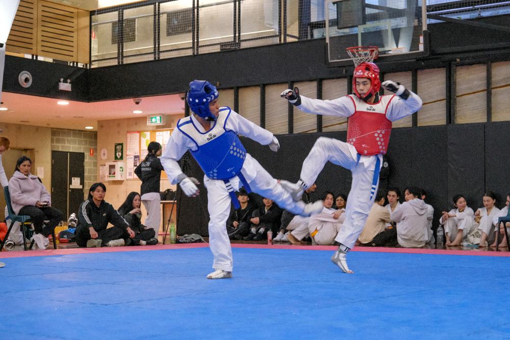 TDog Taekwondo competition G239