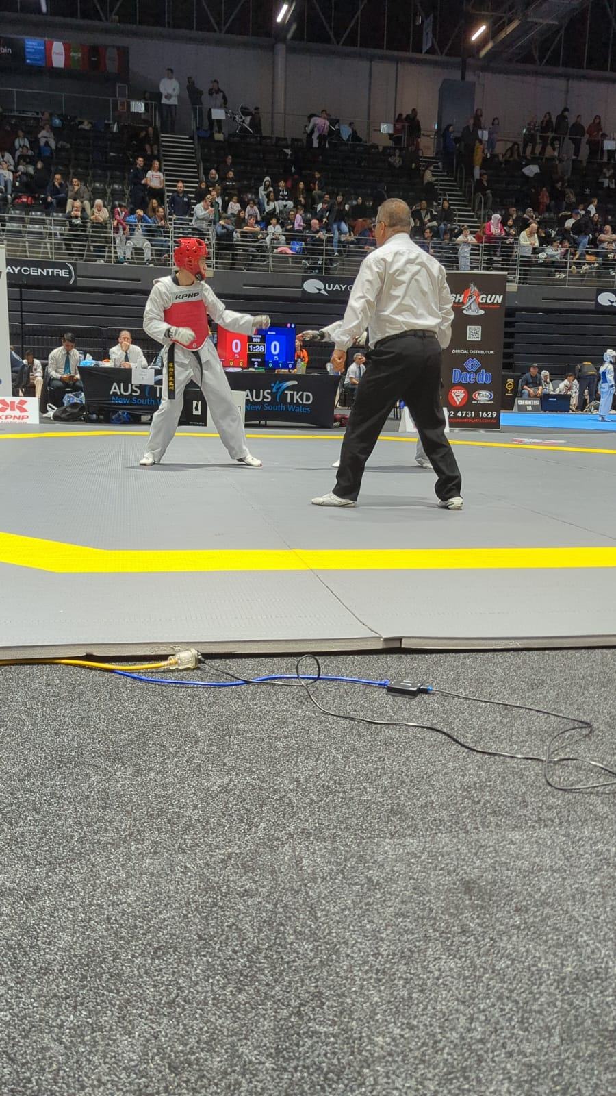 TDog Taekwondo competition G240