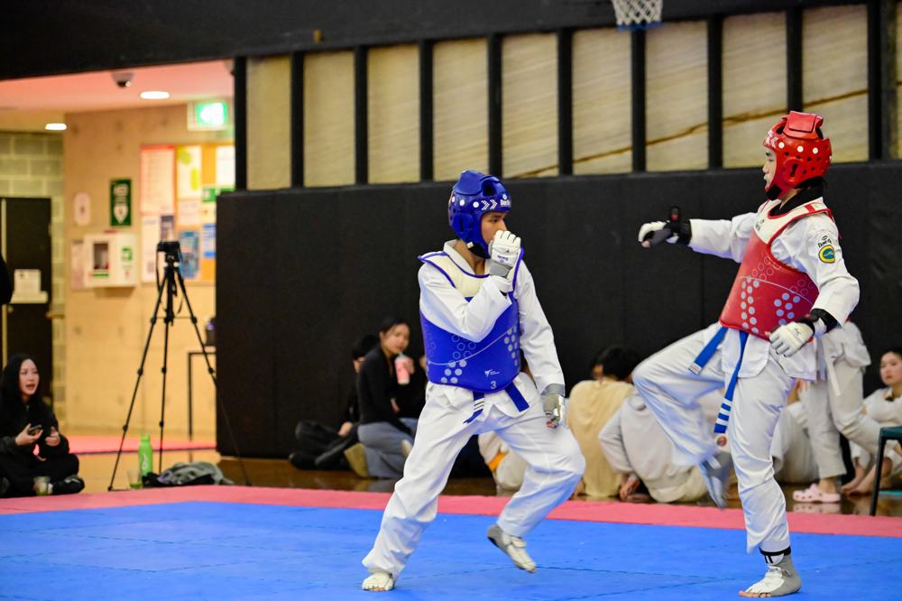 TDog Taekwondo competition G241