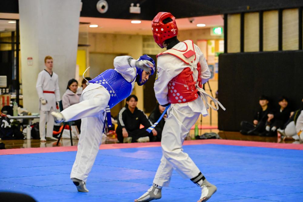 TDog Taekwondo competition G243