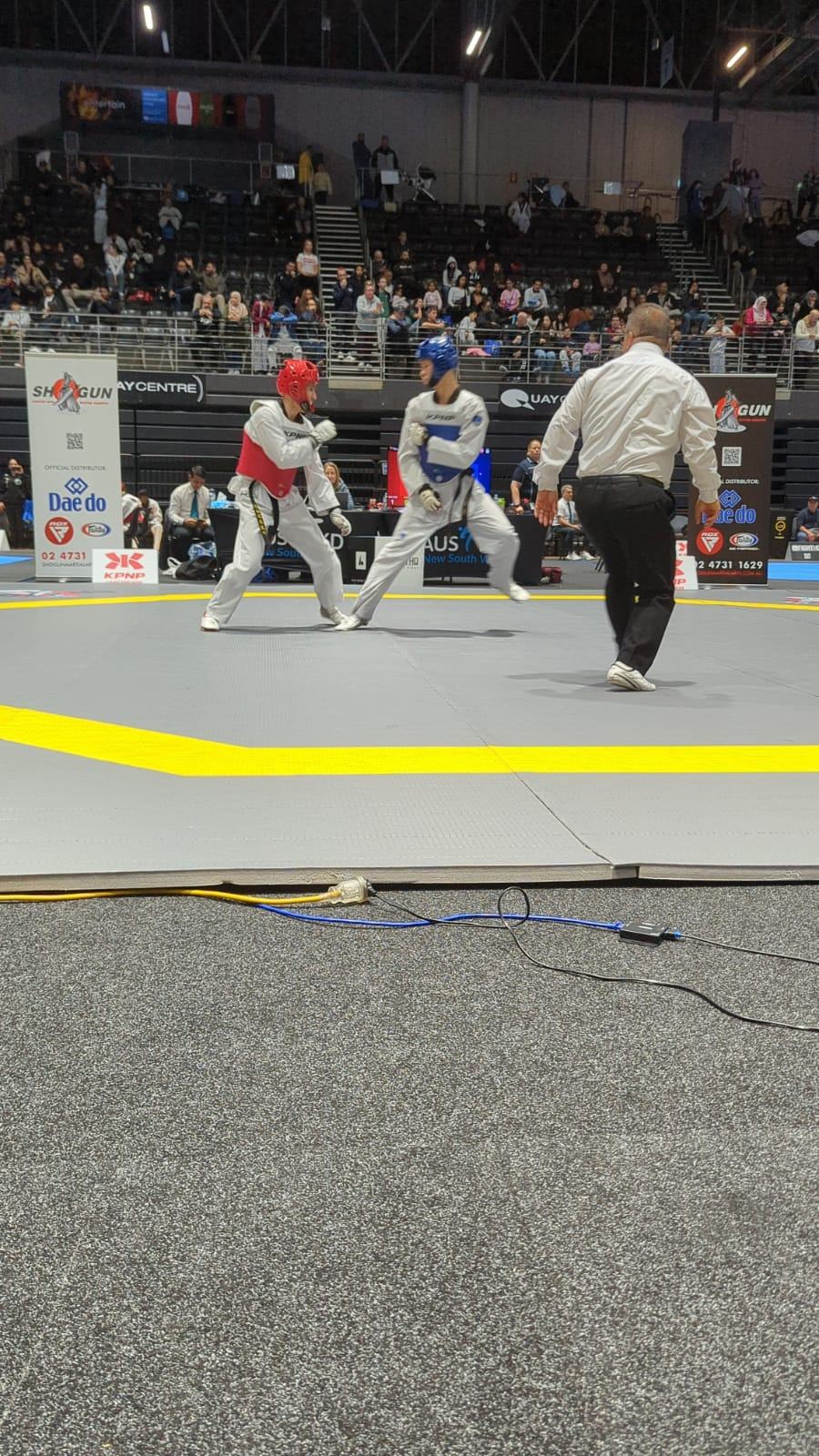 TDog Taekwondo competition G244