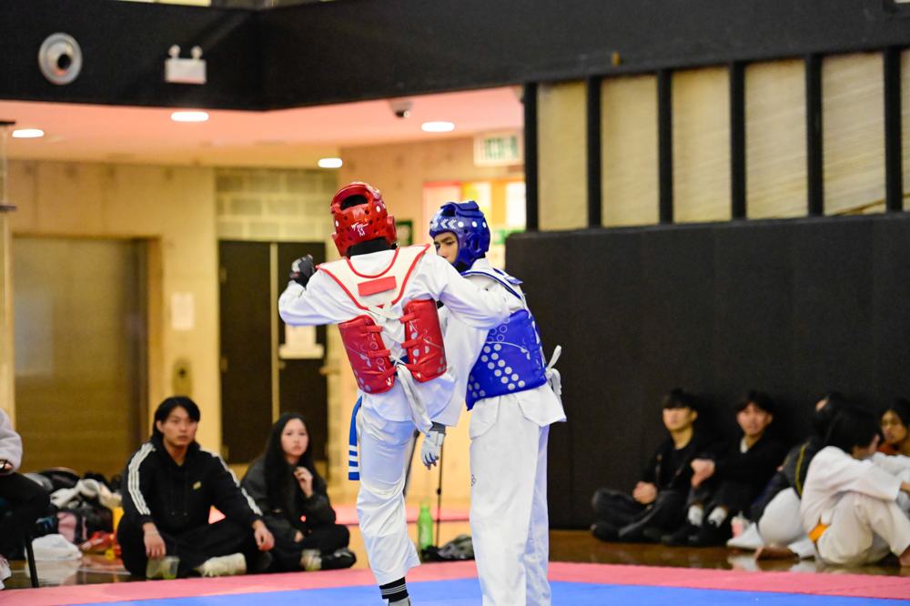 TDog Taekwondo competition G245
