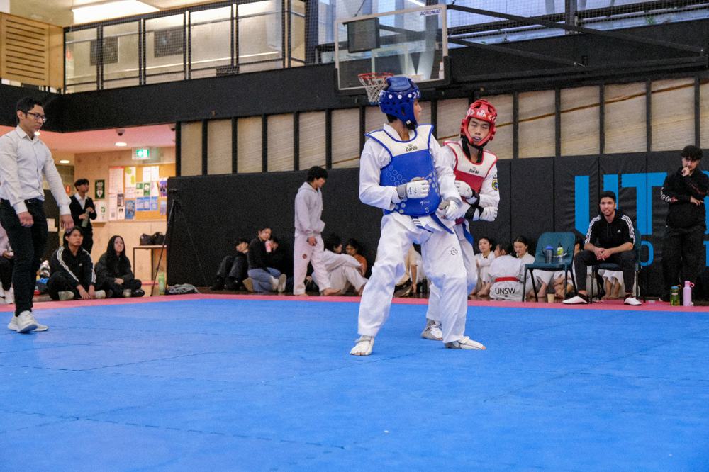 TDog Taekwondo competition G247