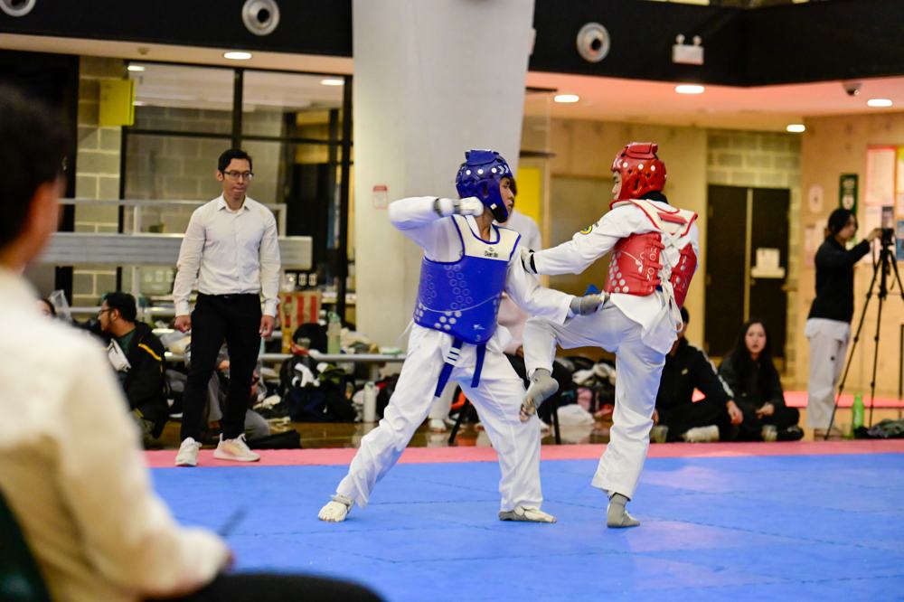 TDog Taekwondo competition G249