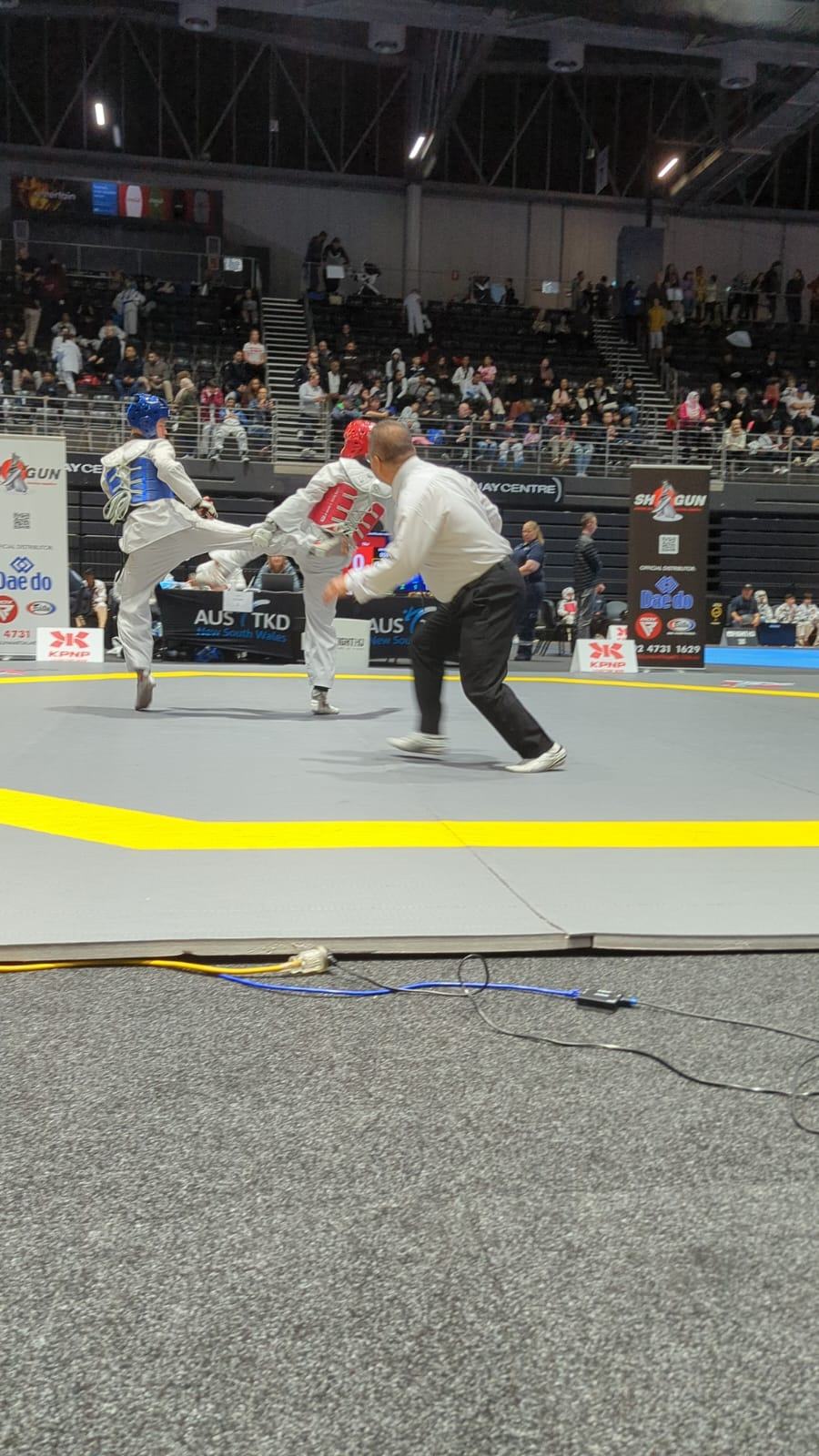 TDog Taekwondo competition G250