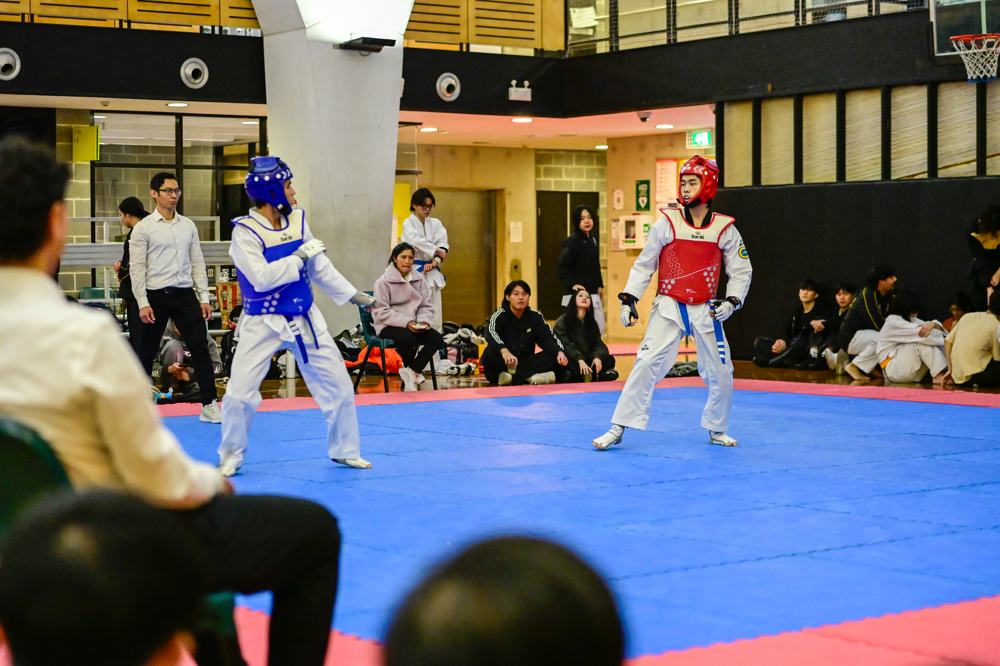 TDog Taekwondo competition G251