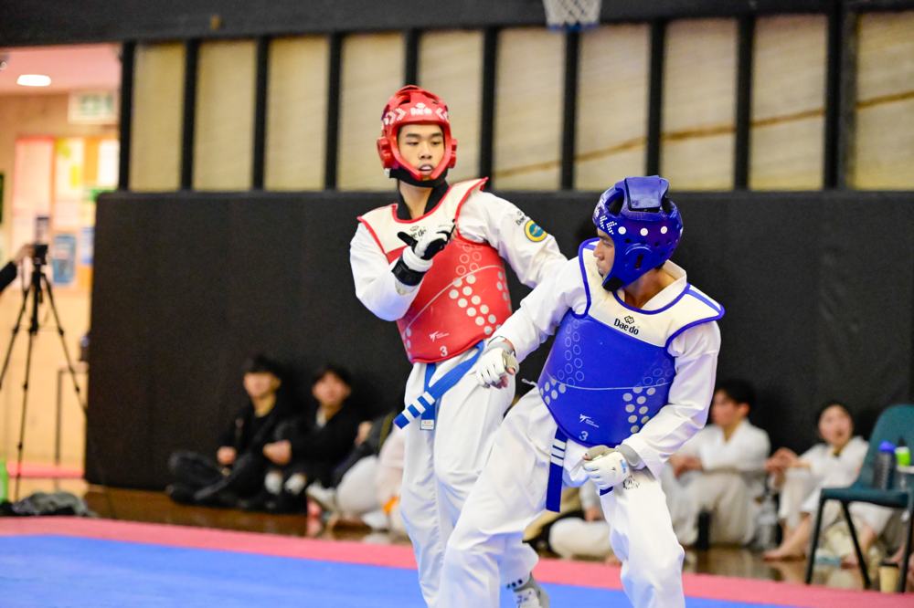 TDog Taekwondo competition G253