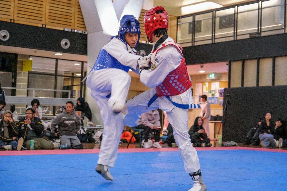 TDog Taekwondo competition G259