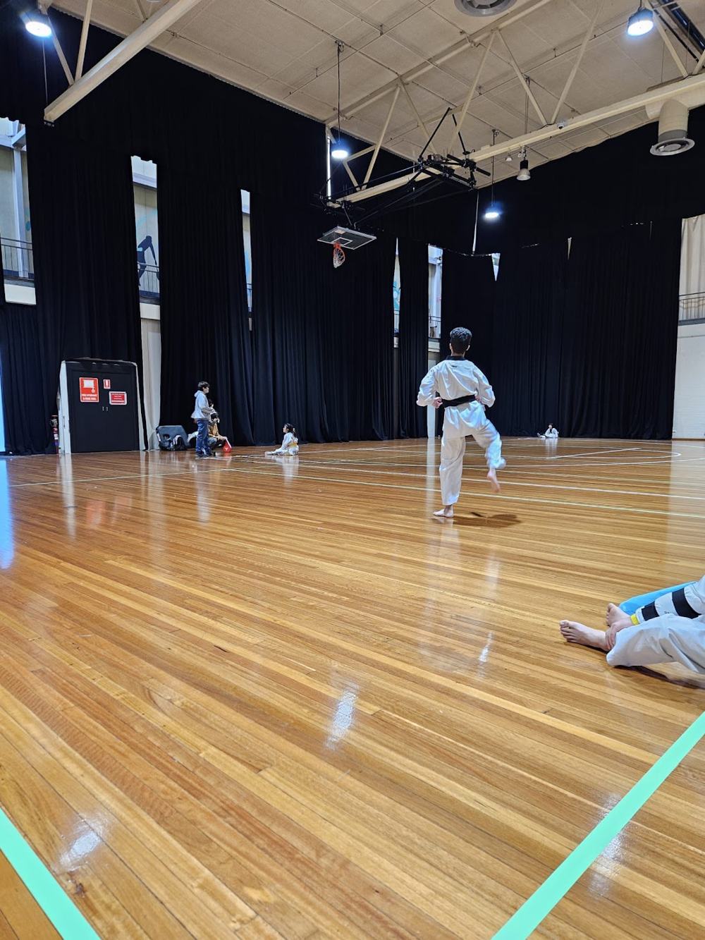 TDog Taekwondo competition G260