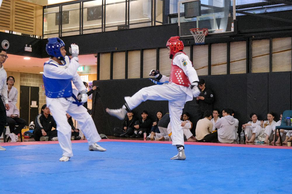 TDog Taekwondo competition G261