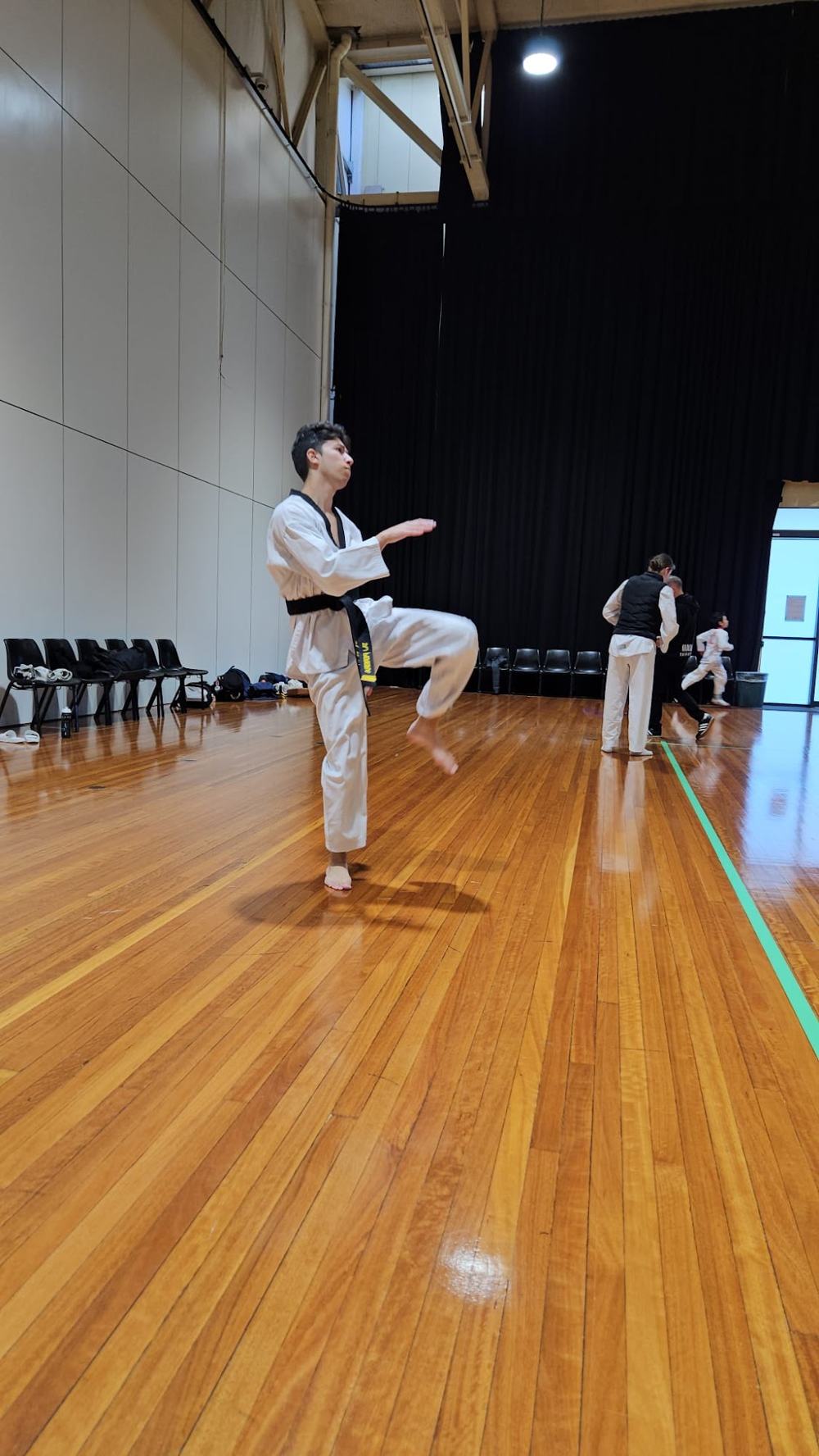 TDog Taekwondo competition G262