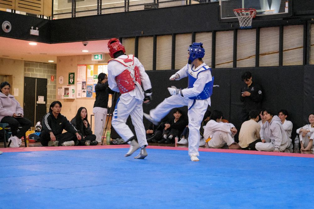 TDog Taekwondo competition G263