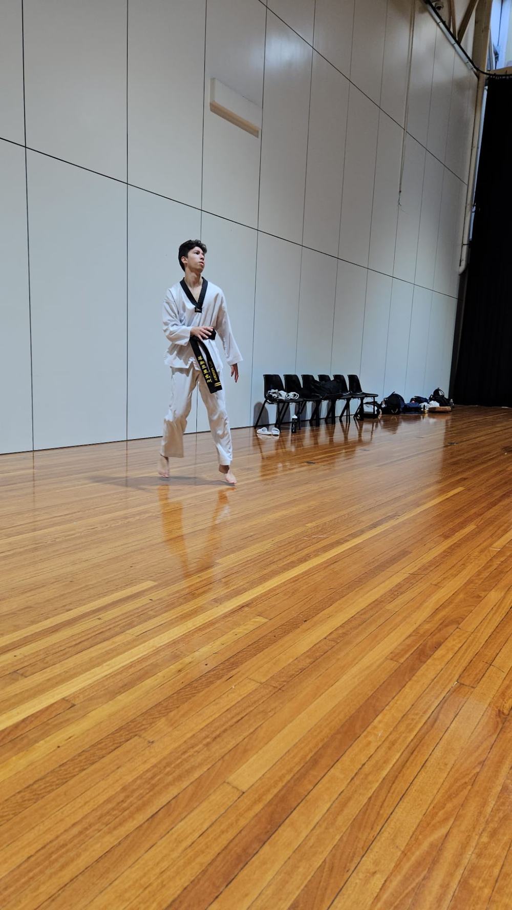 TDog Taekwondo competition G264