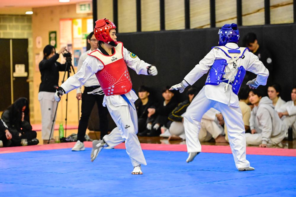 TDog Taekwondo competition G267