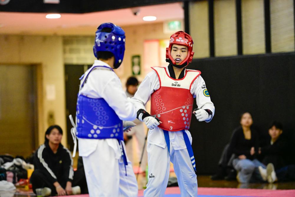 TDog Taekwondo competition G273