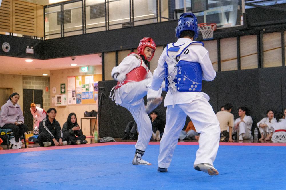 TDog Taekwondo competition G275