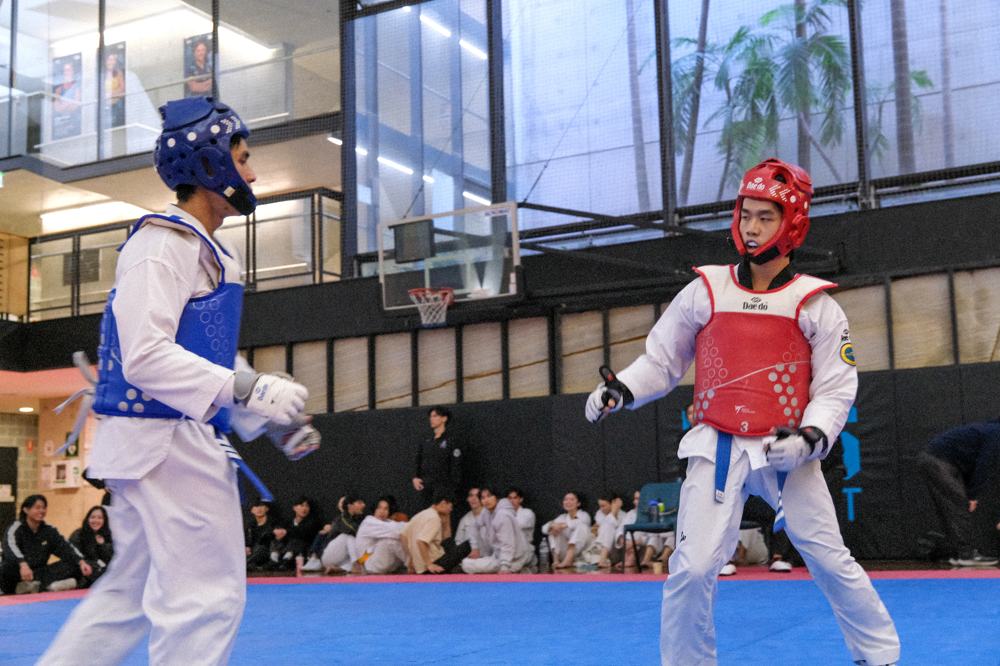 TDog Taekwondo competition G277