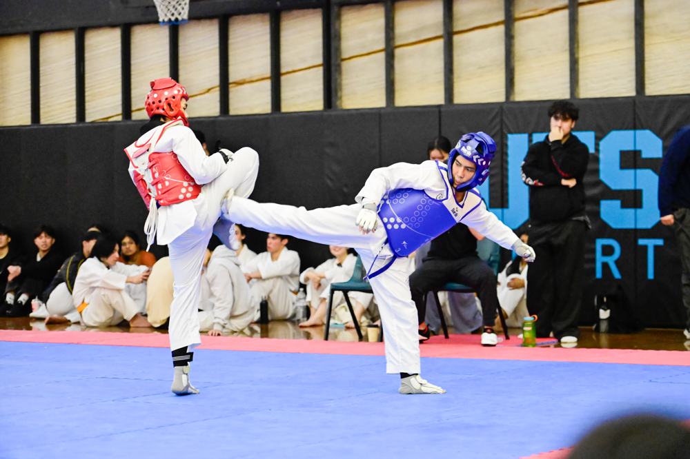 TDog Taekwondo competition G279