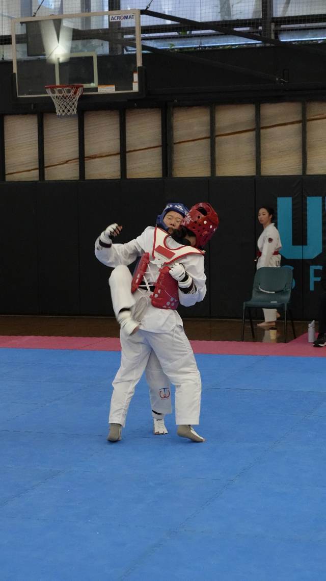 TDog Taekwondo competition G28