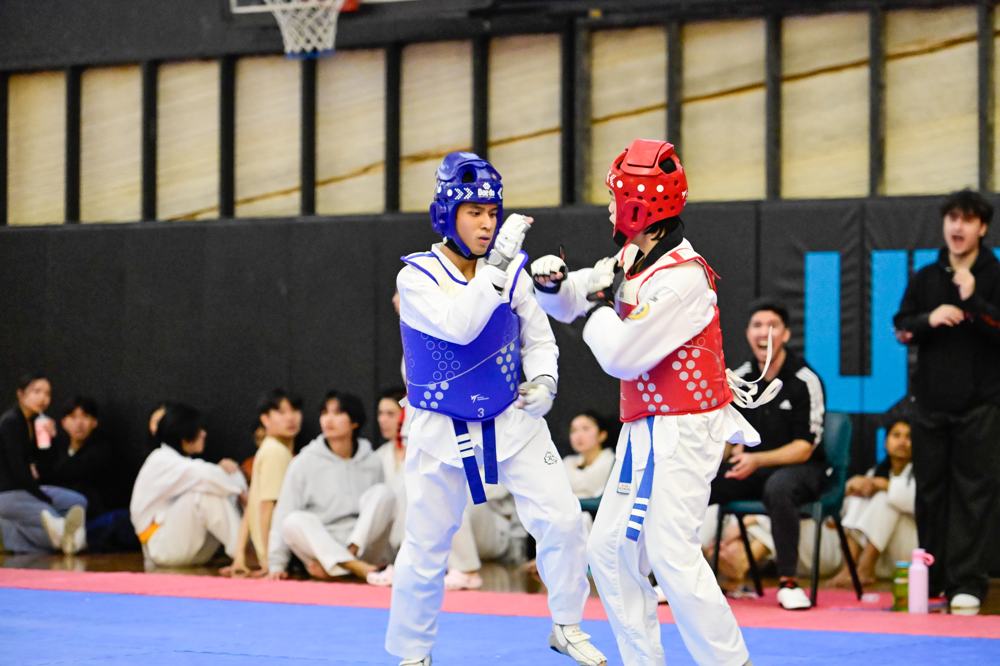 TDog Taekwondo competition G281