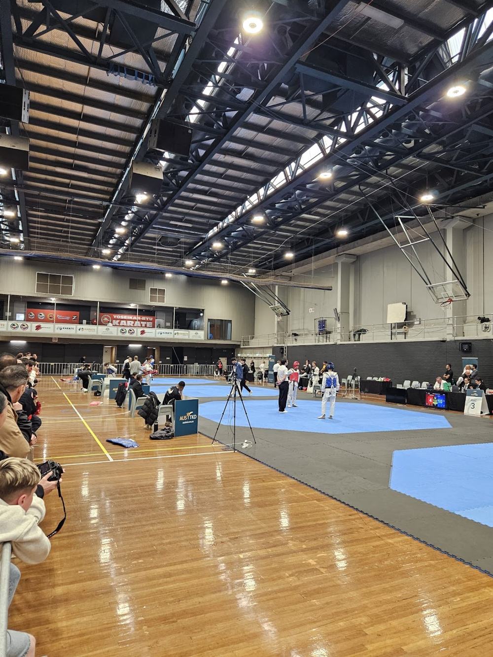 TDog Taekwondo competition G284