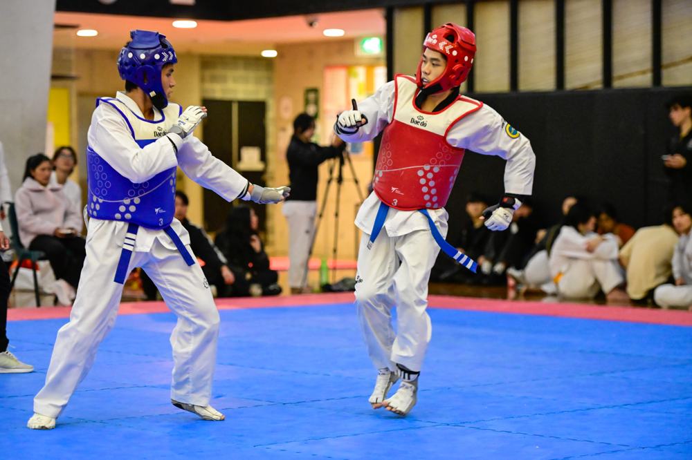 TDog Taekwondo competition G285