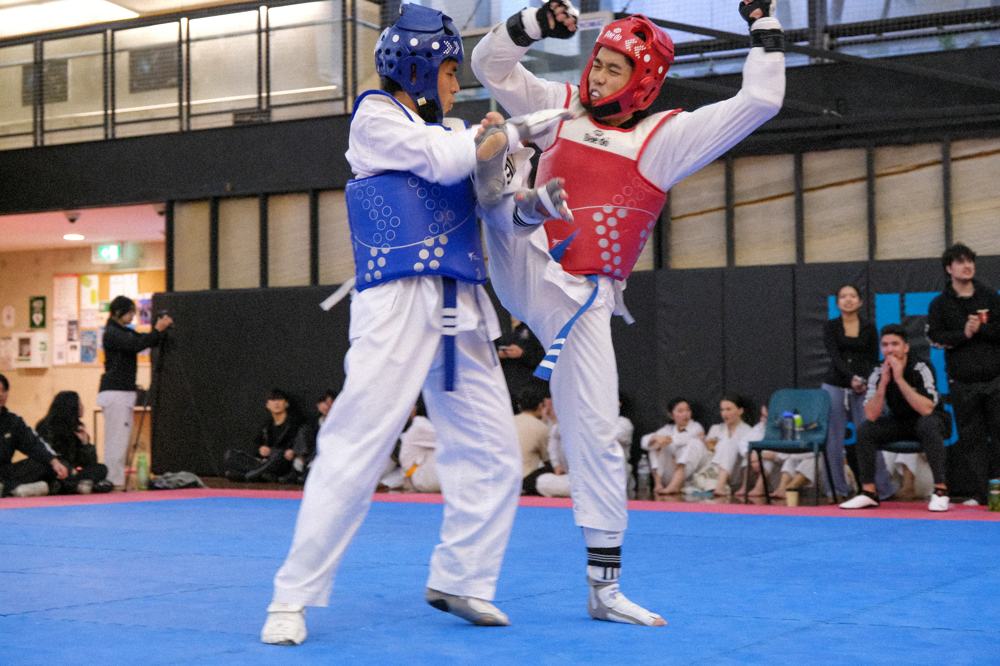 TDog Taekwondo competition G289
