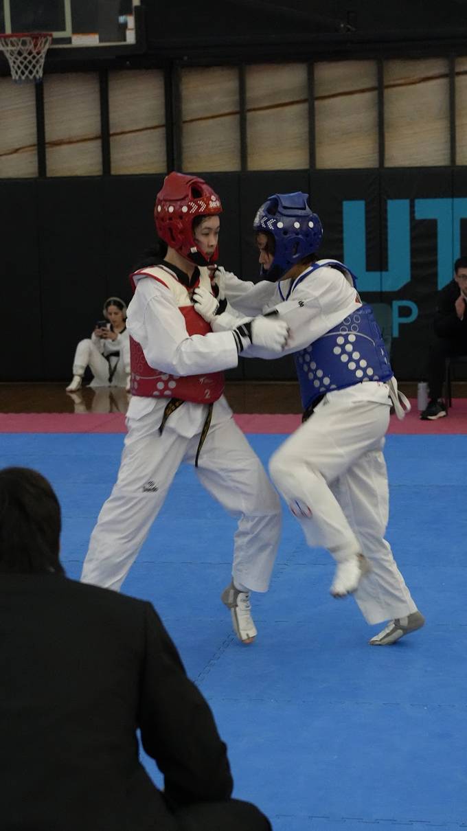 TDog Taekwondo competition G29