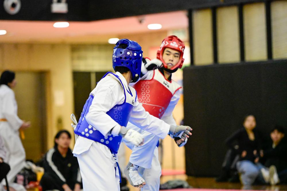 TDog Taekwondo competition G293