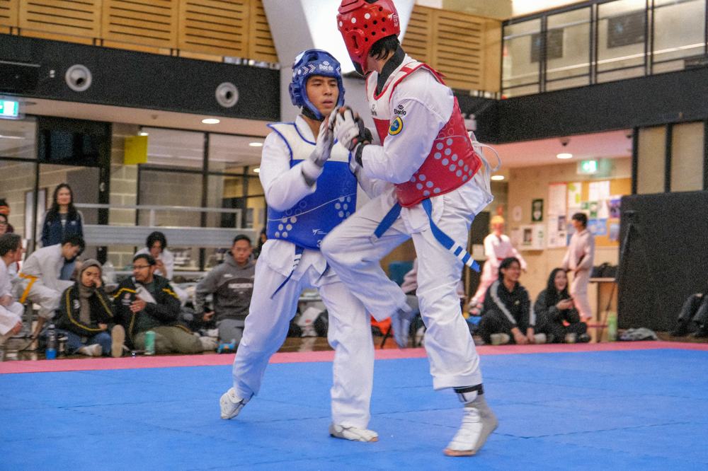 TDog Taekwondo competition G295