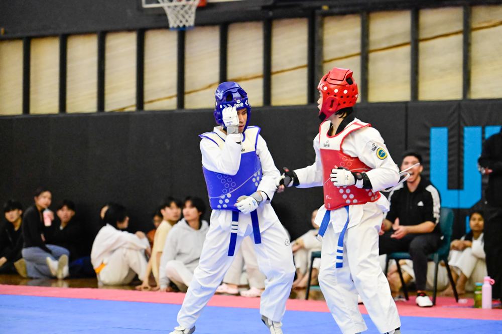 TDog Taekwondo competition G297