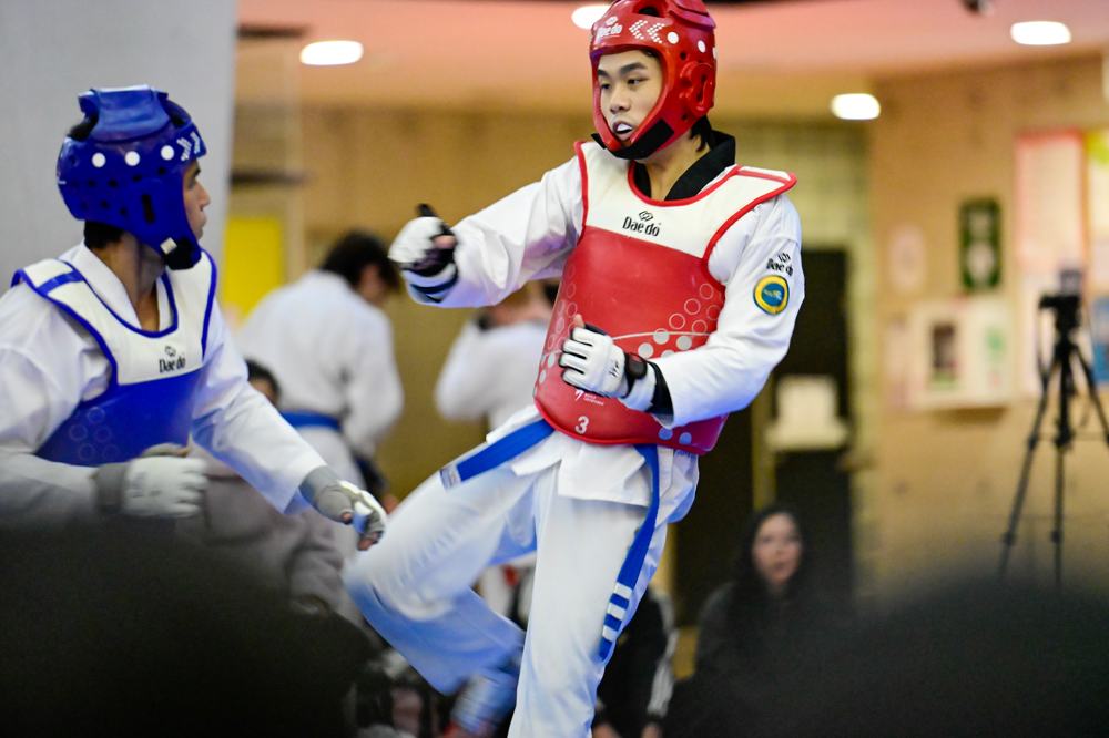 TDog Taekwondo competition G299