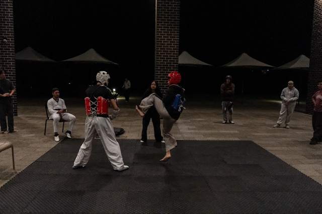 TDog Taekwondo training G3