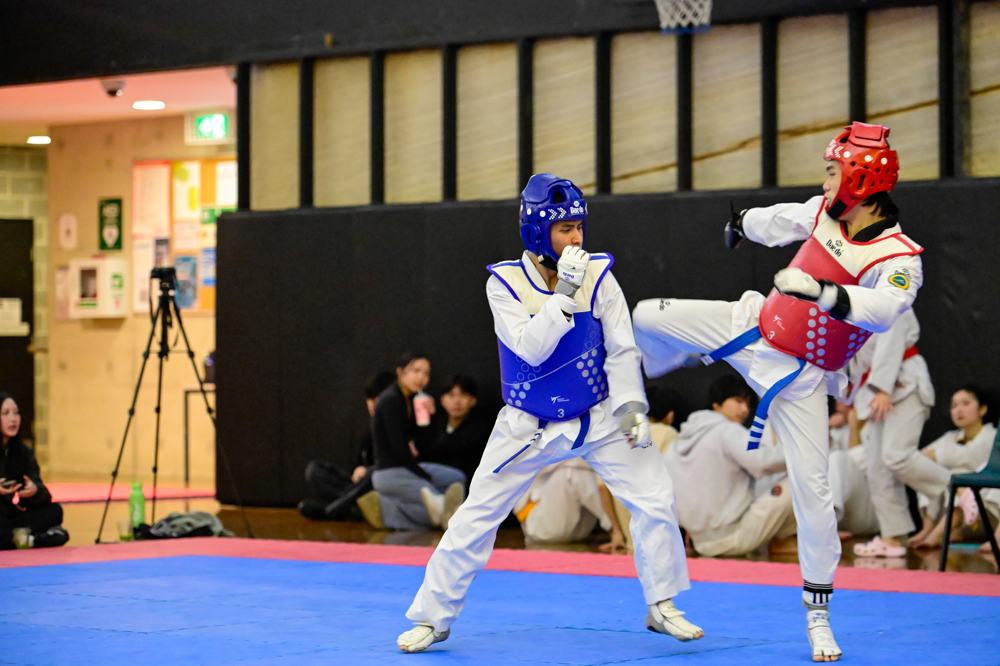 TDog Taekwondo competition G300