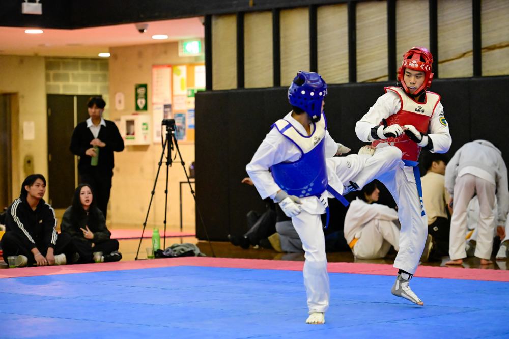 TDog Taekwondo competition G302